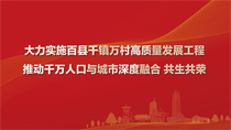 大力實施百縣千鎮萬村高質量發展工程推動千萬人口與城市深度融合共生共榮